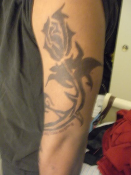 Drawings: Hand Drawings & Paintings