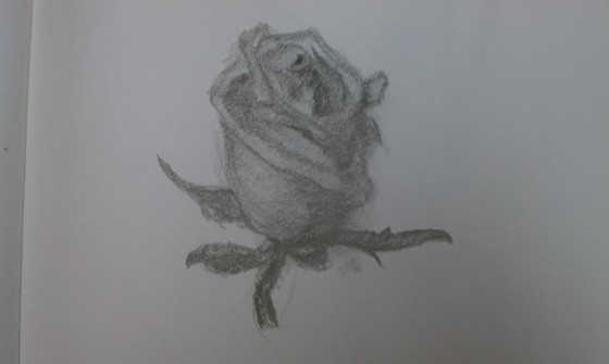 Drawings: Hand Drawings & Paintings