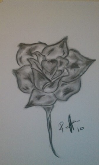 Drawings: Hand Drawings & Paintings