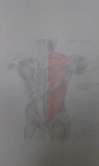 Drawings: Hand Drawings & Paintings