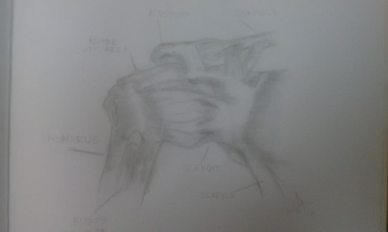 Drawings: Hand Drawings & Paintings