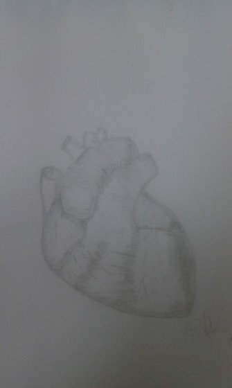 Drawings: Hand Drawings & Paintings