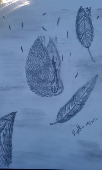 Drawings: Hand Drawings & Paintings