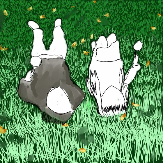 Tablet Drawings: Tablet Drawings and Paintings